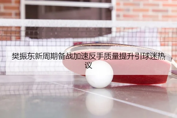 樊振东新周期备战加速反手质量提升引球迷热议