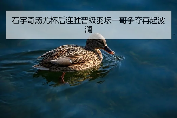 石宇奇汤尤杯后连胜晋级羽坛一哥争夺再起波澜